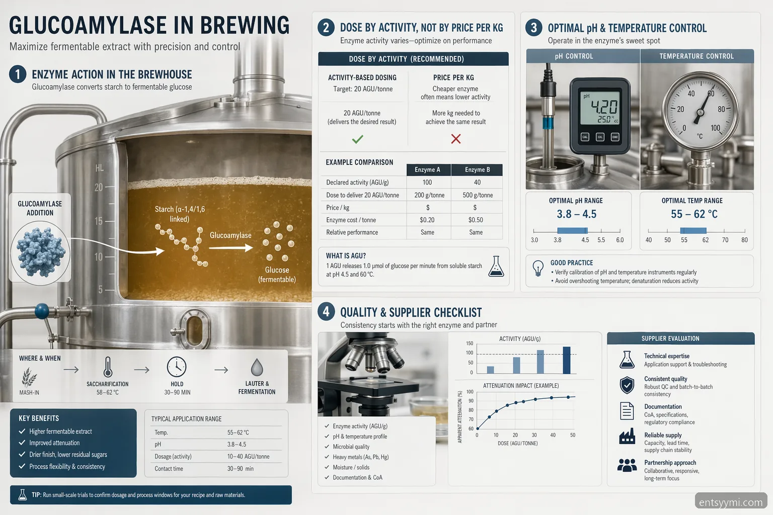 entsyymi for brewing guide showing glucoamylase dosing, pH and temperature controls for brewery efficiency