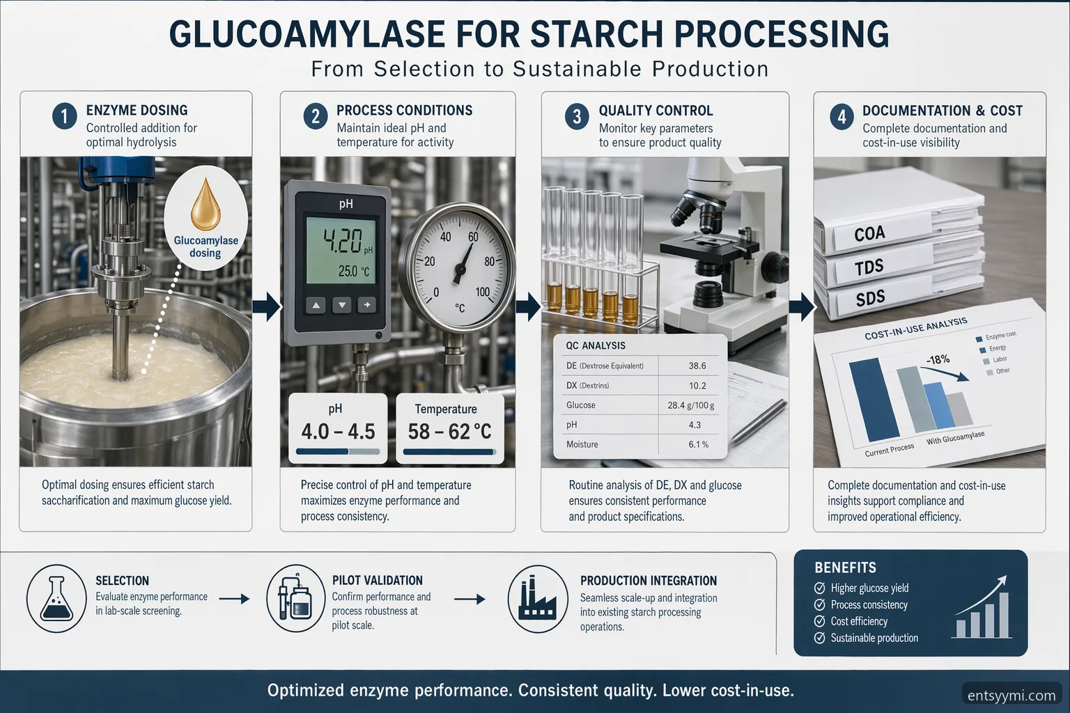 teollisuusentsyymi for starch processing glukoamylaasi guide with dosing, QC, documents, and cost icons